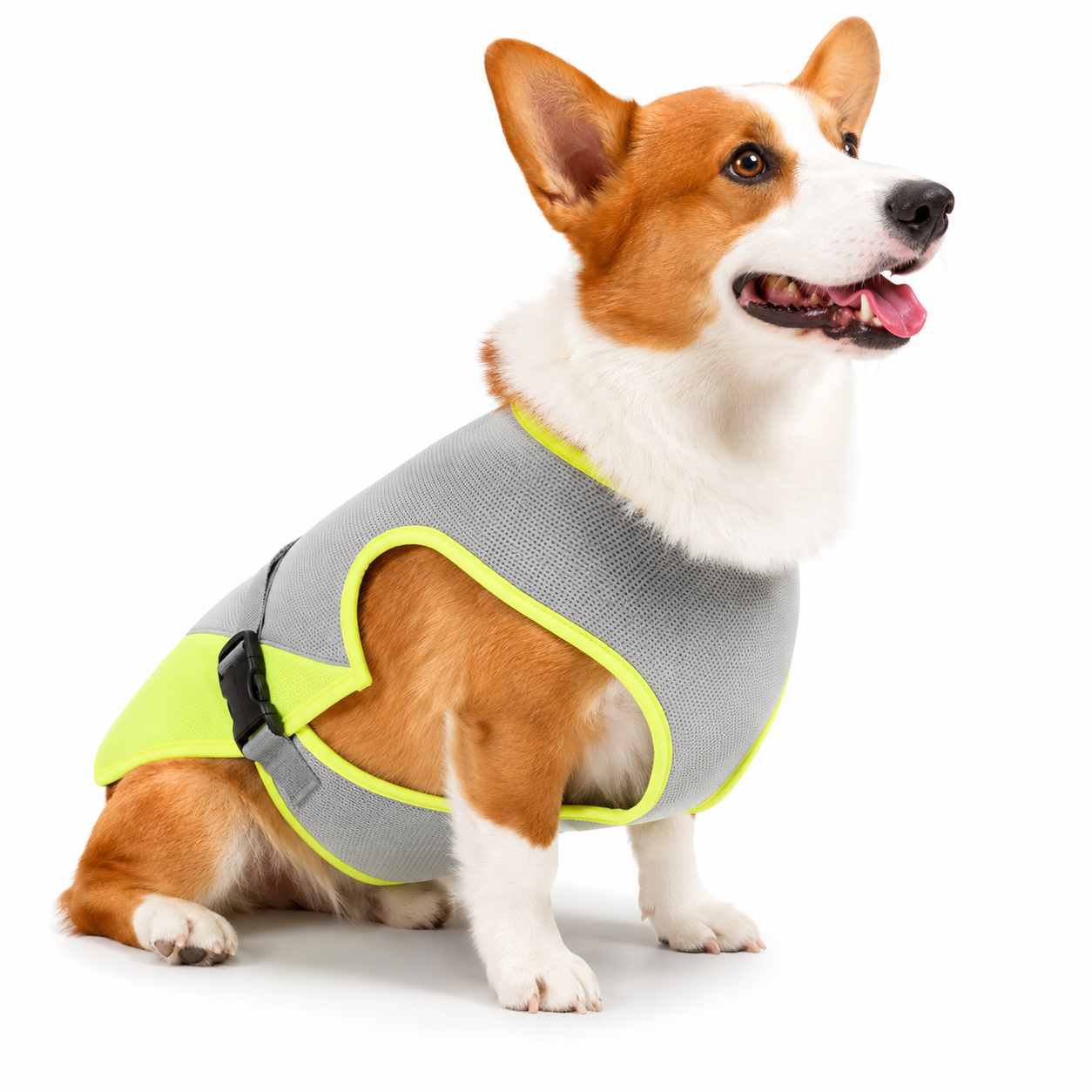 Cooling Dog Vest – Lightweight Breathable Summer Cooling Jacket for Dogs